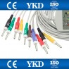 ASPEL BTL FARUM M4Medical Elektrokardiografy